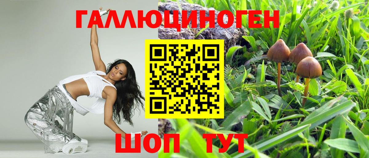 Псилоцибиновые грибы мицелий Азов