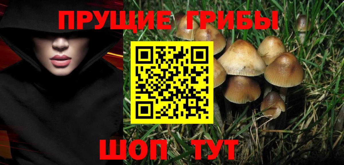 Галлюциногенные грибы мицелий  Вход с VPN  Азов 